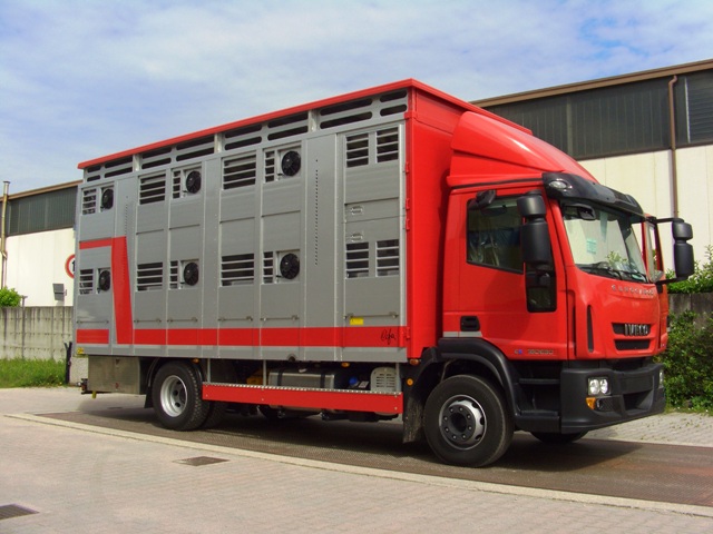 Allestimento furgoni per trasporto animali