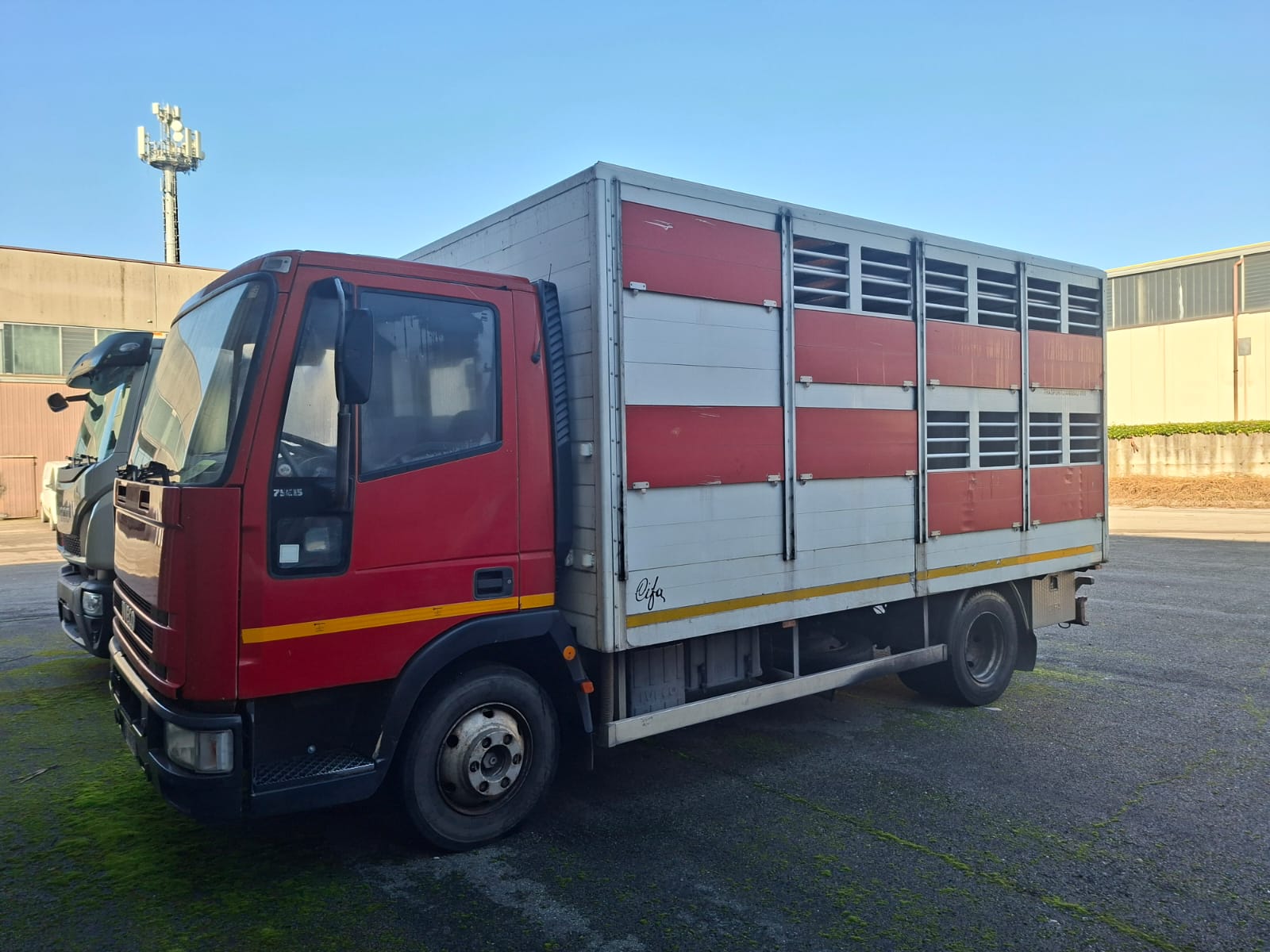 furgone trasporto bestiamo usato_1